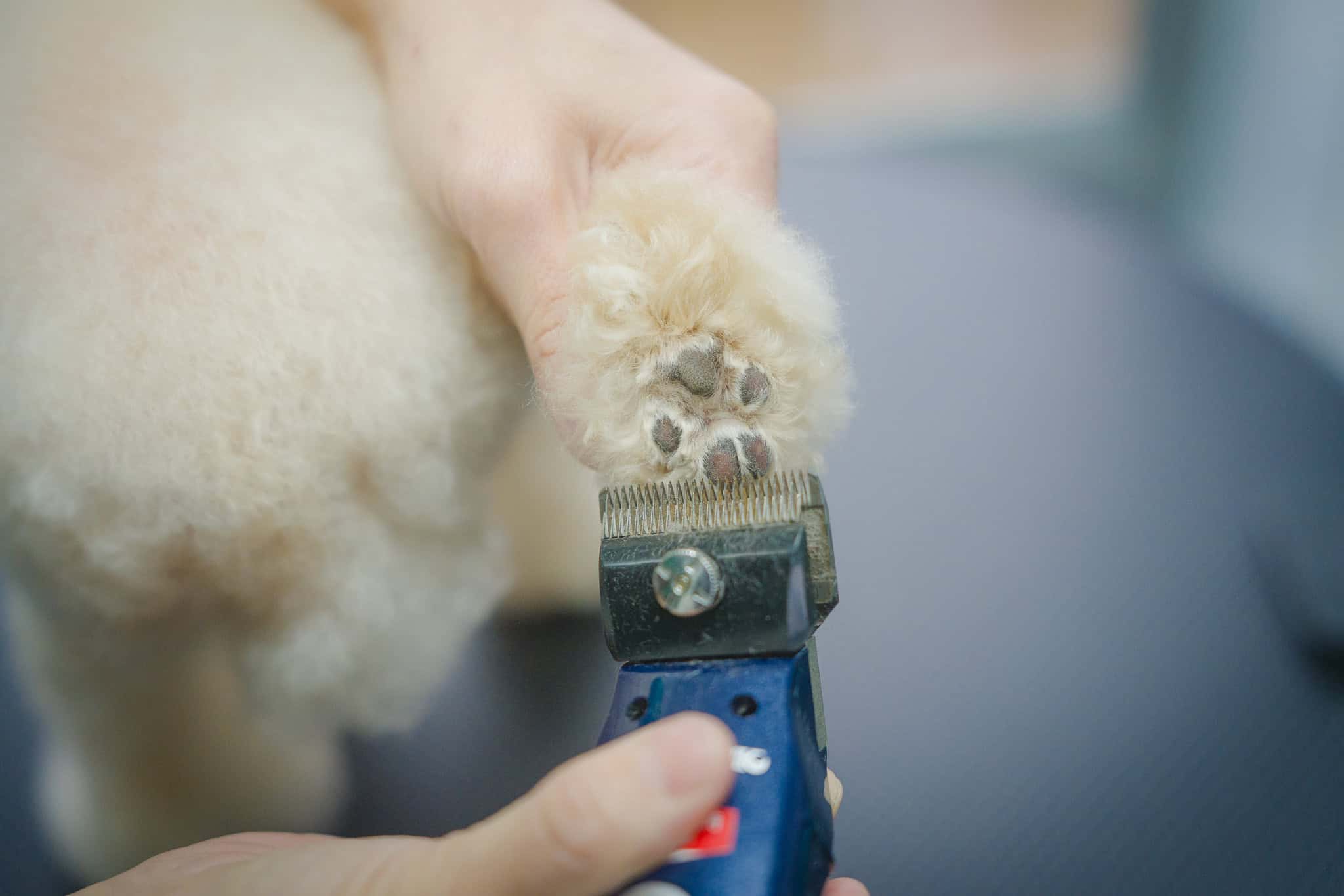 敏感な足裏は「表面仕上げ」でやさしく